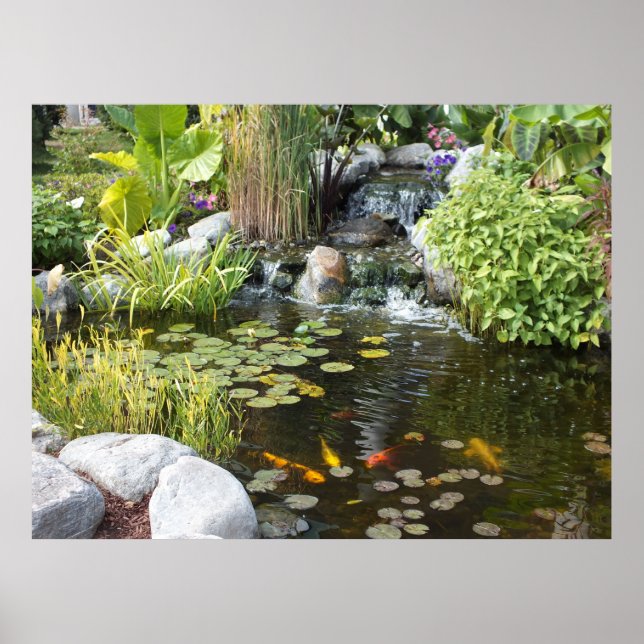 Koi Pond mit Wasserfall Poster (Vorne)