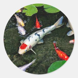 Koi Pond Runder Aufkleber