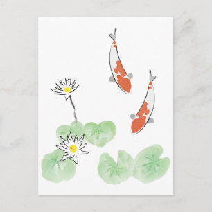 Koi Pond - weißer Hintergrund Postkarte