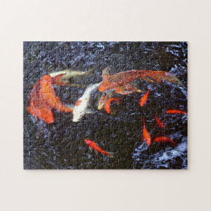Koi Puzzle