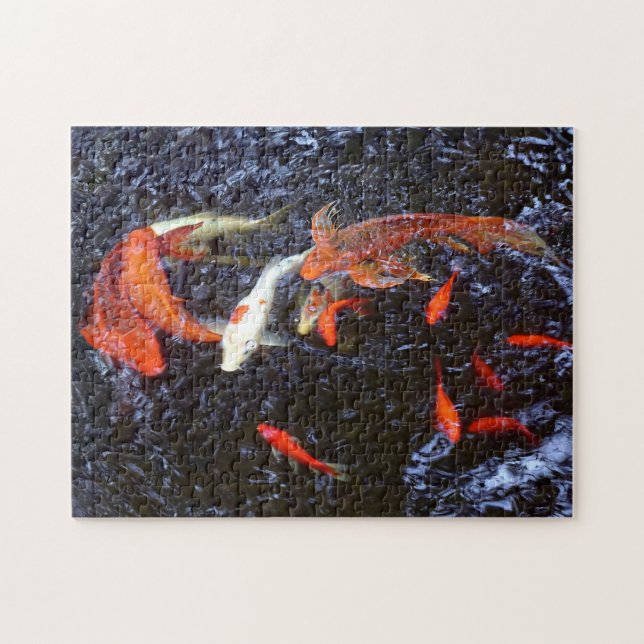 Koi Puzzle (Horizontal)