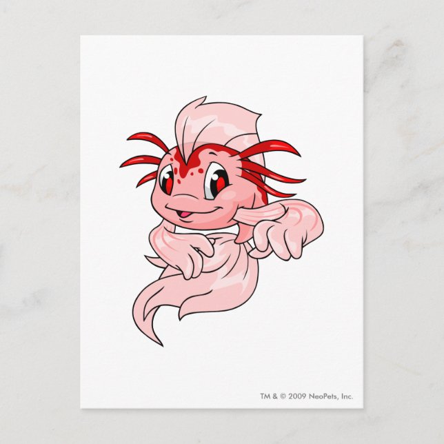 Koi Red Postkarte (Vorderseite)