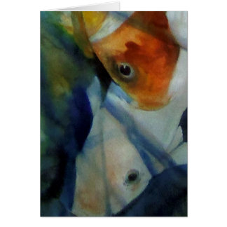 Koi Schal