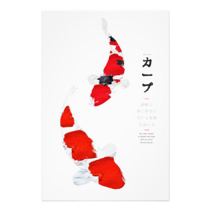 Koi Serenity: Kohaku und Sanke Fotodruck