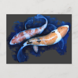Koi Tango Postkarte
