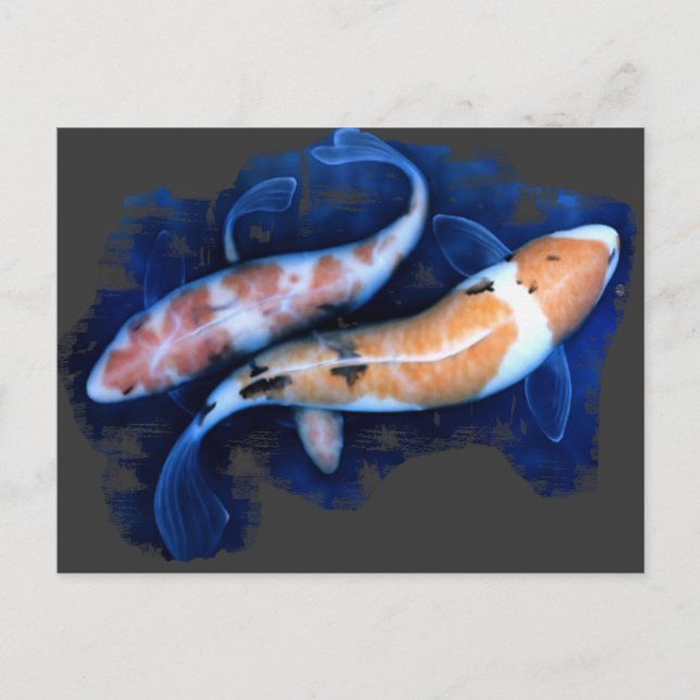 Koi Tango Postkarte (Vorderseite)