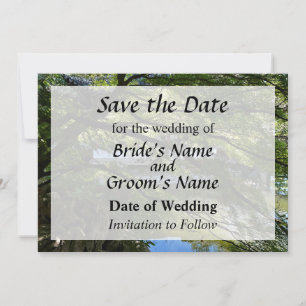 Koi-Teich im chinesischen Garten - Heiratsankündig Save The Date