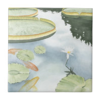 Koi-Teich-Reflektion mit Fisch und Lilien