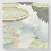 Koi-Teich-Reflektion mit Fisch und Lilien