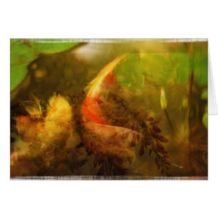 Koi Teichcollage - Karte