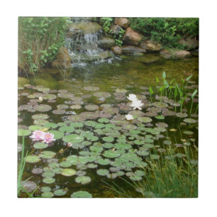 Koi Teichfliese Fliese