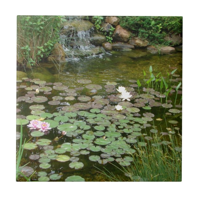 Koi Teichfliese Fliese (Vorderseite)