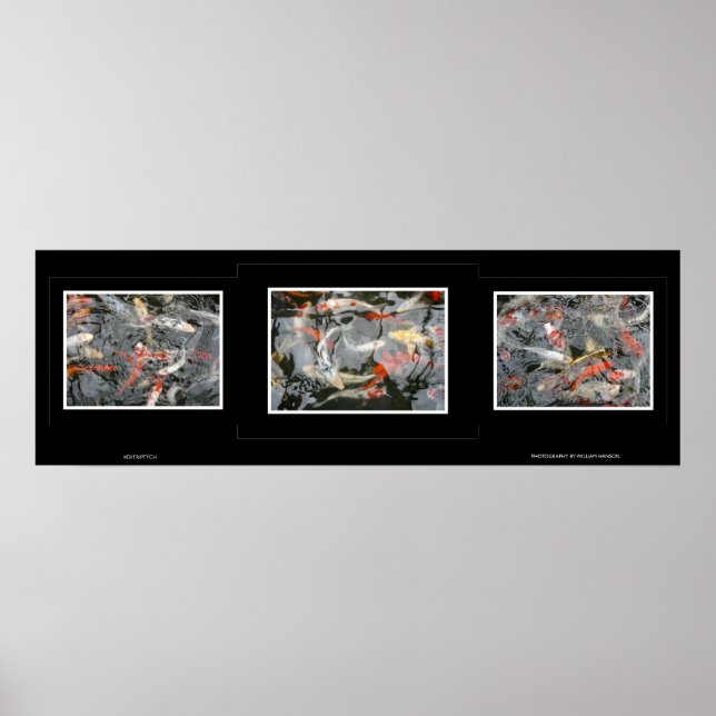 Koi Triptych Poster (Vorne)