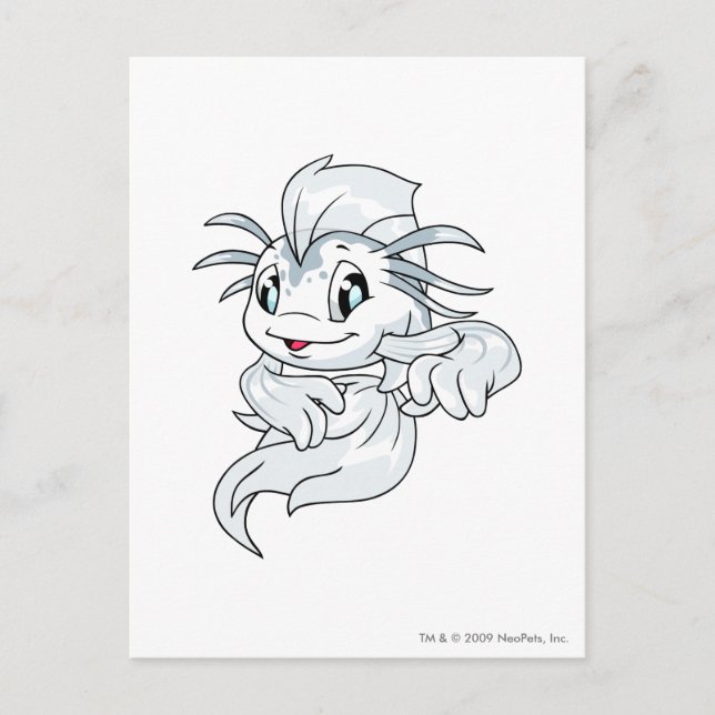 Koi White Postkarte (Vorderseite)