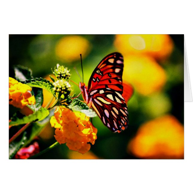 Koinonia   "Stipendium auf dem Weg " (Vorderseite (Horizontal))