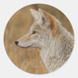 Kojot Runder Aufkleber