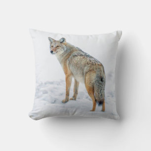 Kojote auf der Hut im Schnee Kissen
