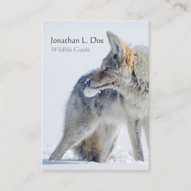 Kojote im Schnee-Tier-Führer, Ökologe Visitenkarte (Vorderseite)