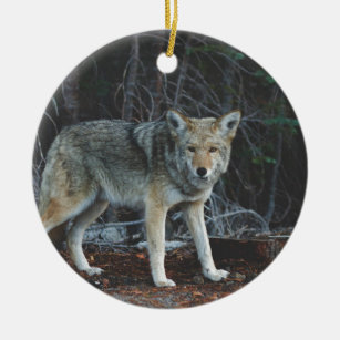 Kojote-Jagd Keramikornament