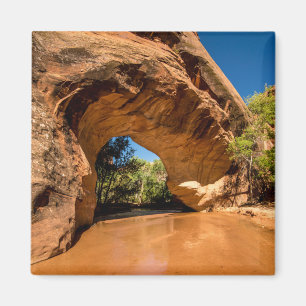 Kojote-natürliche Brücke - KojoteGulch - Utah Magnet