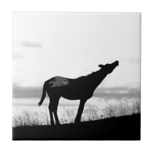 Kojote-Pferd Fliese