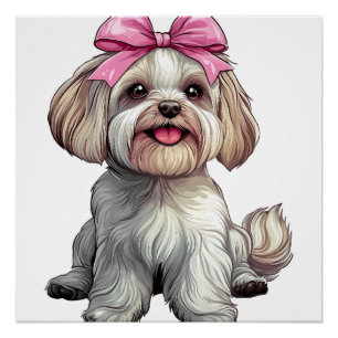 Kokette Schleife Havanese Hundefrau Mädchen Rosa Poster
