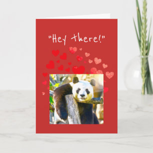 Koketter Panda-Bär machen Special des Valentines Feiertagskarte