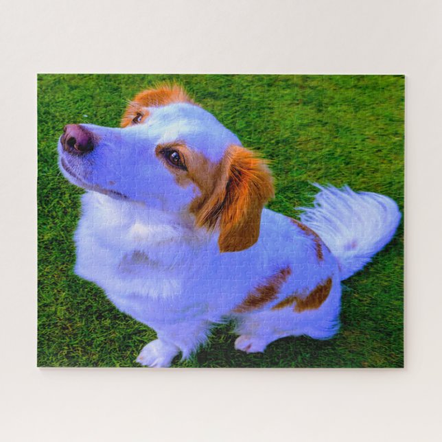 Kokoni Hund. Puzzle (Horizontal)