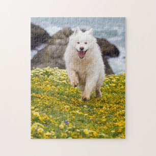 Kokosnuss - Blume Puzzle