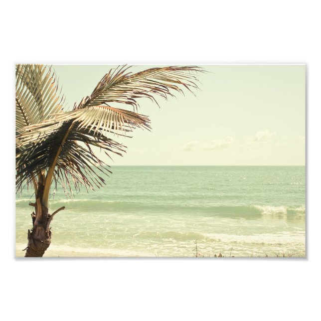 Kokosnuss-Palm und Pastel-Beach-Fotografie Fotodruck (Vorne)