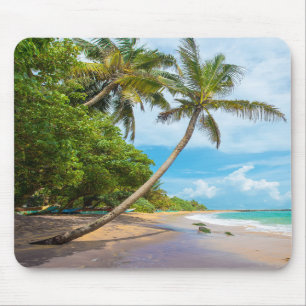 Kokosnuss-Palme, Mirissa Strand Sri Lanka Mousepad
