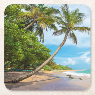 Kokosnuss-Palme, Mirissa Strand   Sri Lanka Rechteckiger Pappuntersetzer