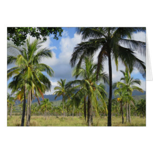 Kokosnuss-Palmen-Wald