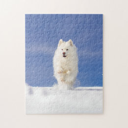 Kokosnuss - Schneebär Puzzle
