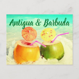 Kokosnüsse aus Antigua und Barbuda Postkarte