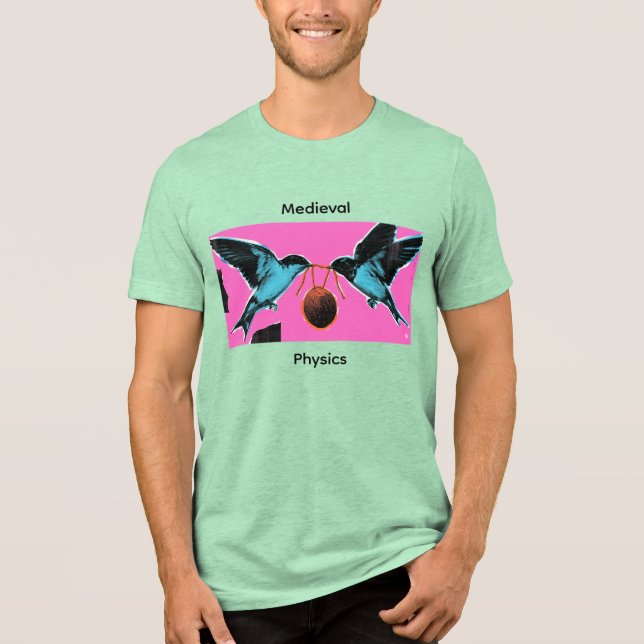 Kokosnüsse wandern nicht Medieval Physics Tee (Vorderseite)