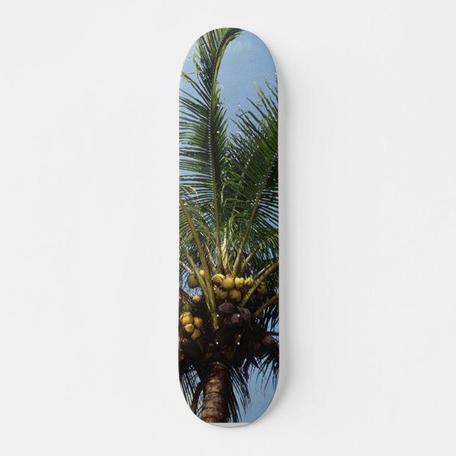 Kokospalme Skateboard (Vorne)