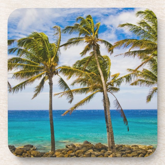 Kokospalmen (Cocos nucifera) Getränkeuntersetzer (Vorderseite)