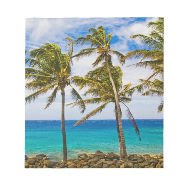 Kokospalmen (Cocos nucifera) Notizblock (Vorderseite)