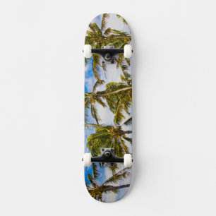 Kokospalmen (Cocos nucifera) schwanken im Skateboard
