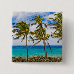 Kokospalmen (Cocos nucifera) schwanken in Button