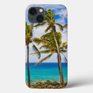 Kokospalmen (Cocos nucifera) schwanken in iPhone 13 Hülle