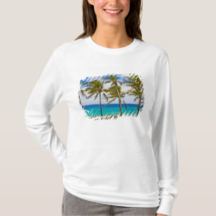 Kokospalmen (Cocos nucifera) schwanken in T-Shirt