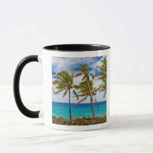 Kokospalmen (Cocos nucifera) schwanken in Tasse