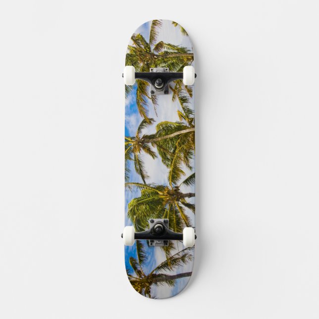 Kokospalmen (Cocos nucifera) Skateboard (Vorderseite)