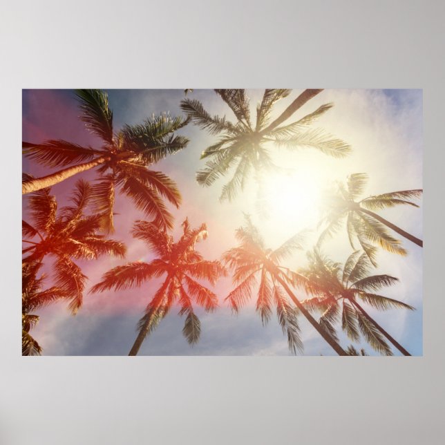 Kokospalmen gegen die Sonne Poster (Vorne)