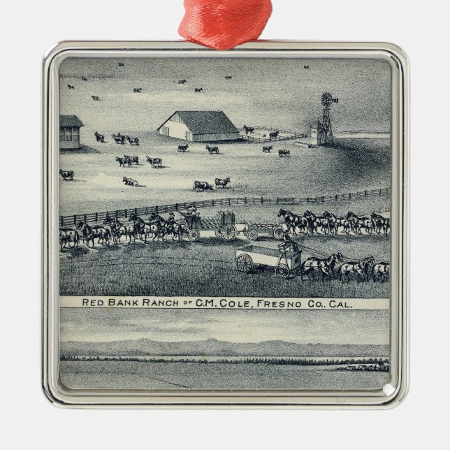 Kole Ranglisten Ornament Aus Metall (Vorne)