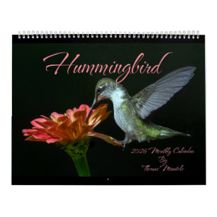 Kolibri 2026 Monatsplaner Von Tom Minutolo Kalender
