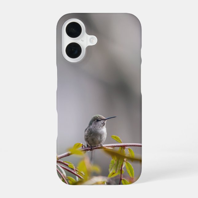 Kolibri 3346 iPhone 16 hülle (Rückseite)