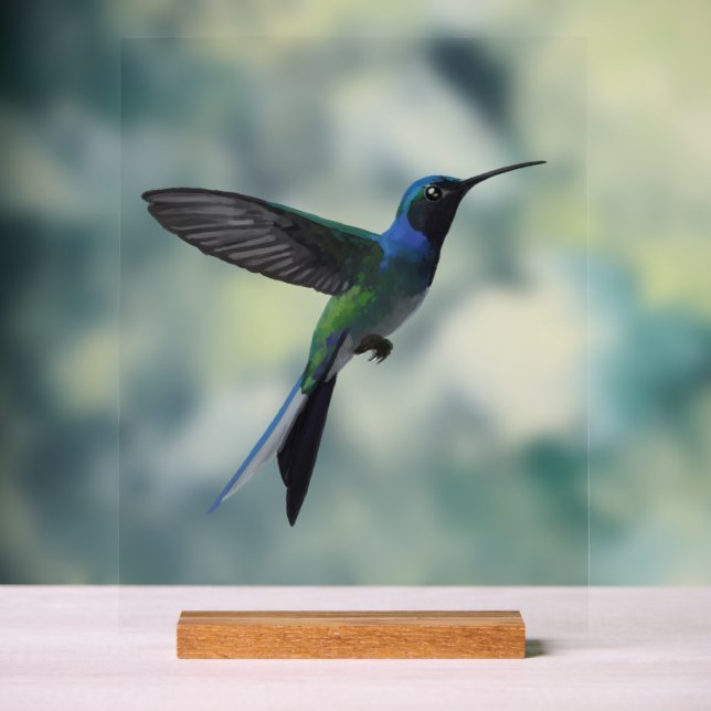 Kolibri Acrylschild (Neutral)